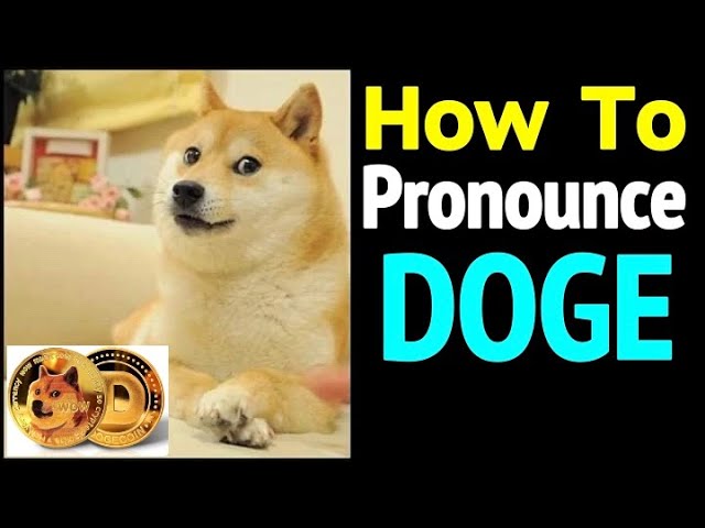 How To Pronounce Doge? | Doge | Doge meme, Shibe doge, Dog memes