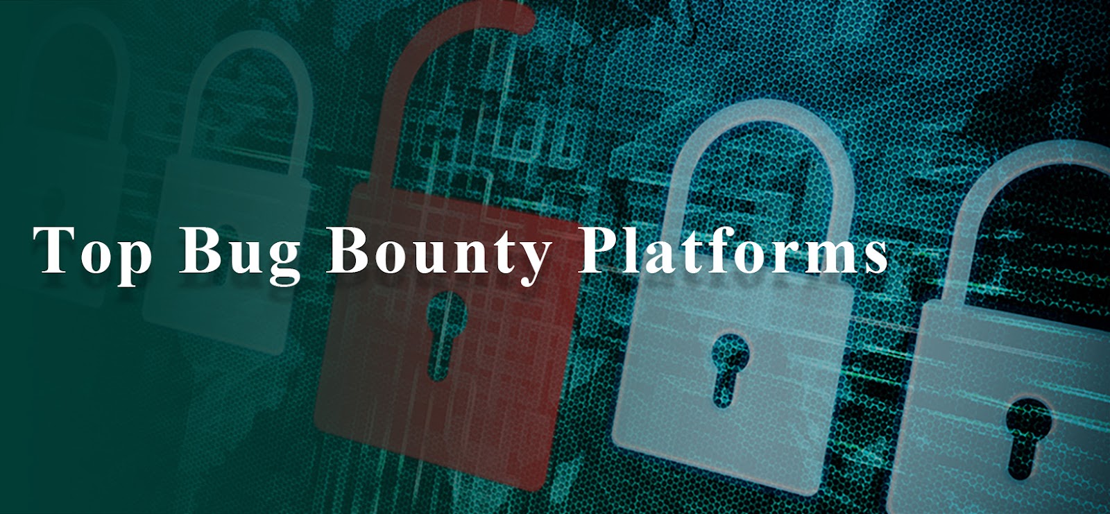 Bug Bounty Platform - Bug Hunting | Nettitude