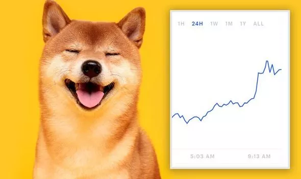 Convert DOGE to USD: Dogecoin to United States Dollar