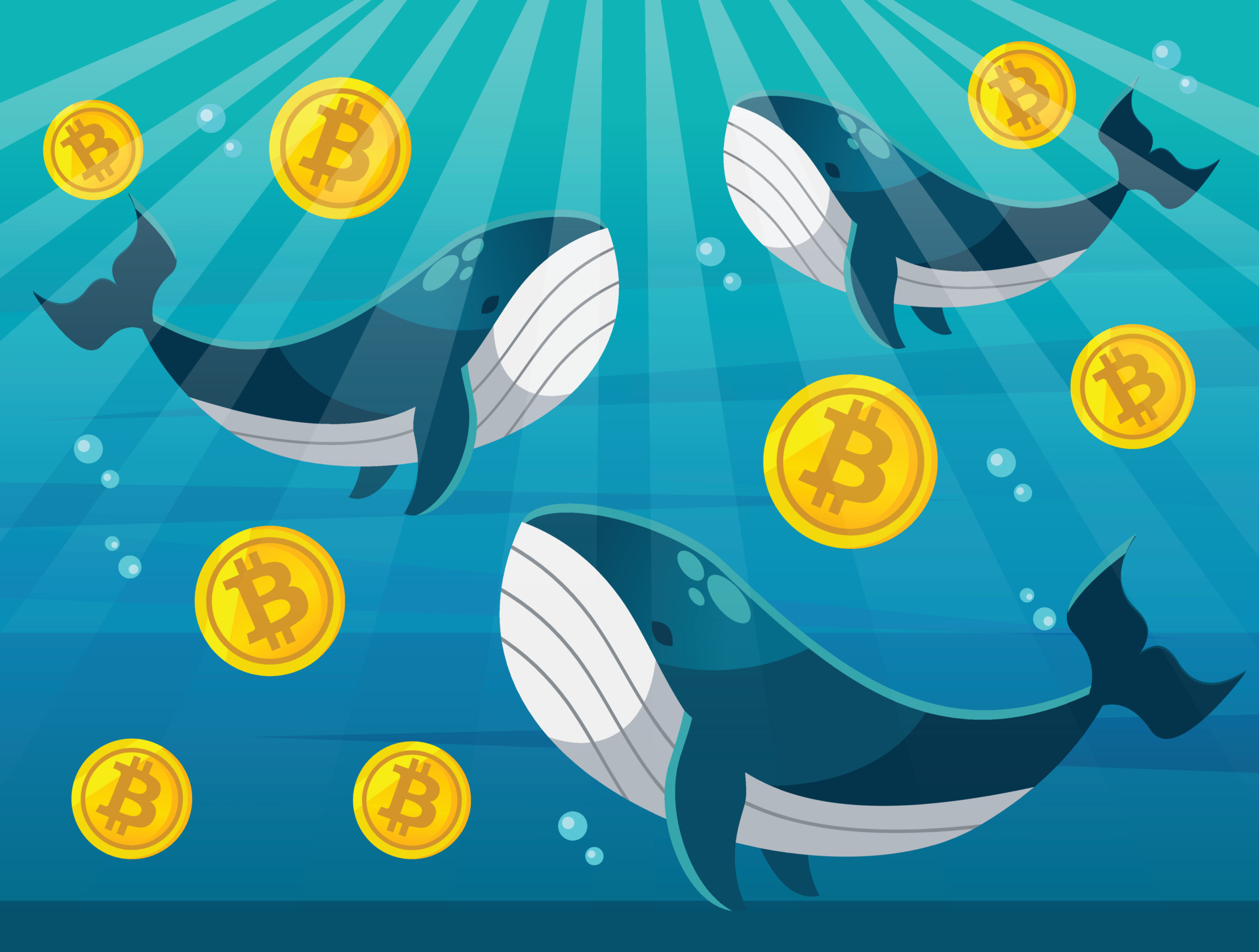 Whale Coin: Whale Crypto NFT Market & Social Token | Gemini