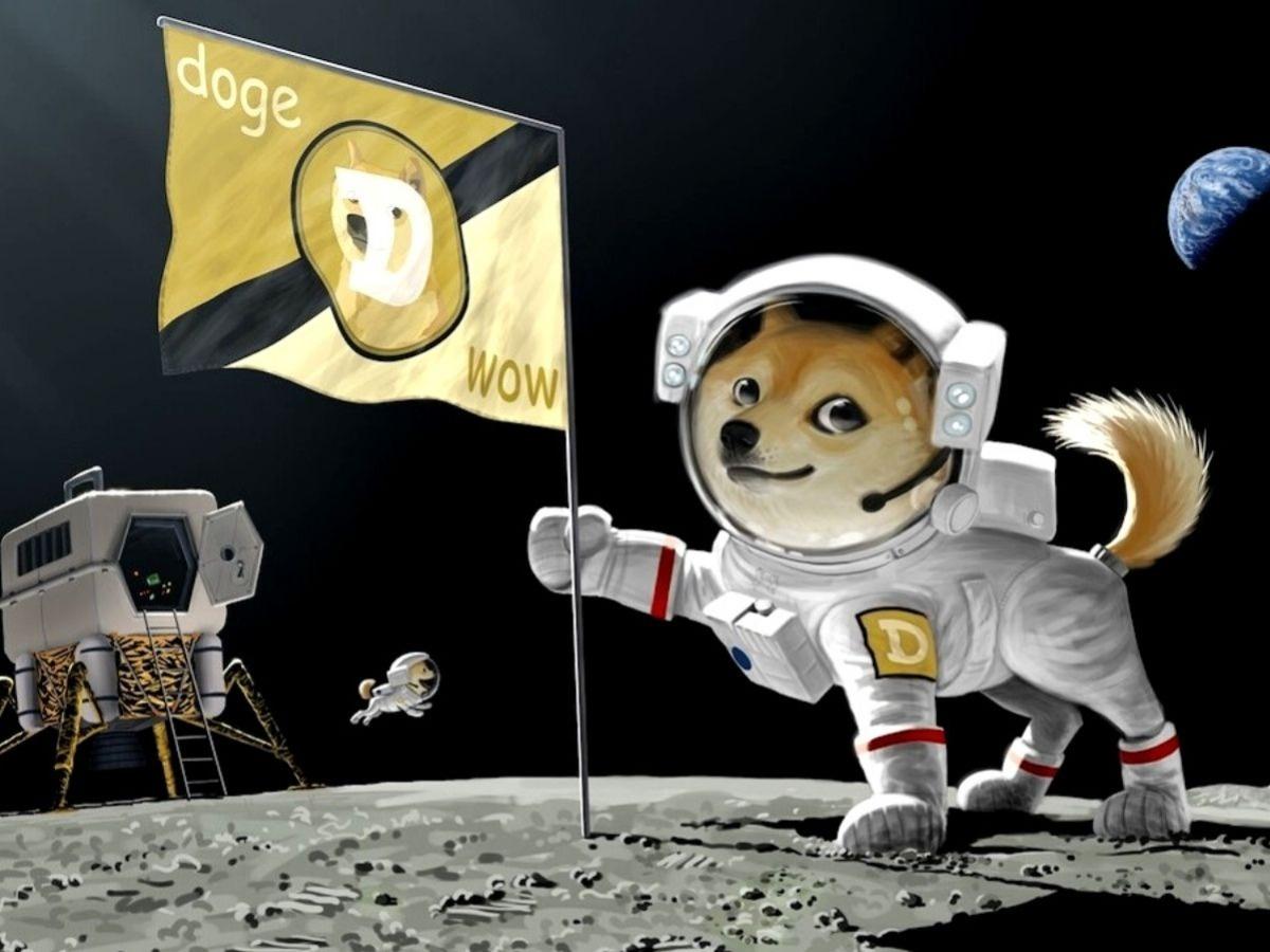 DOGE-1 Mission to the Moon - coinmag.fun