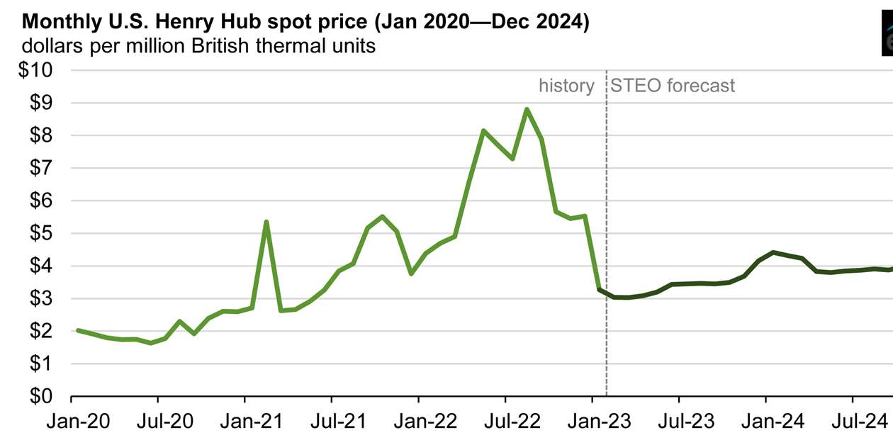 US drivers hope for lower pump prices in as gasoline stocks climb | Reuters