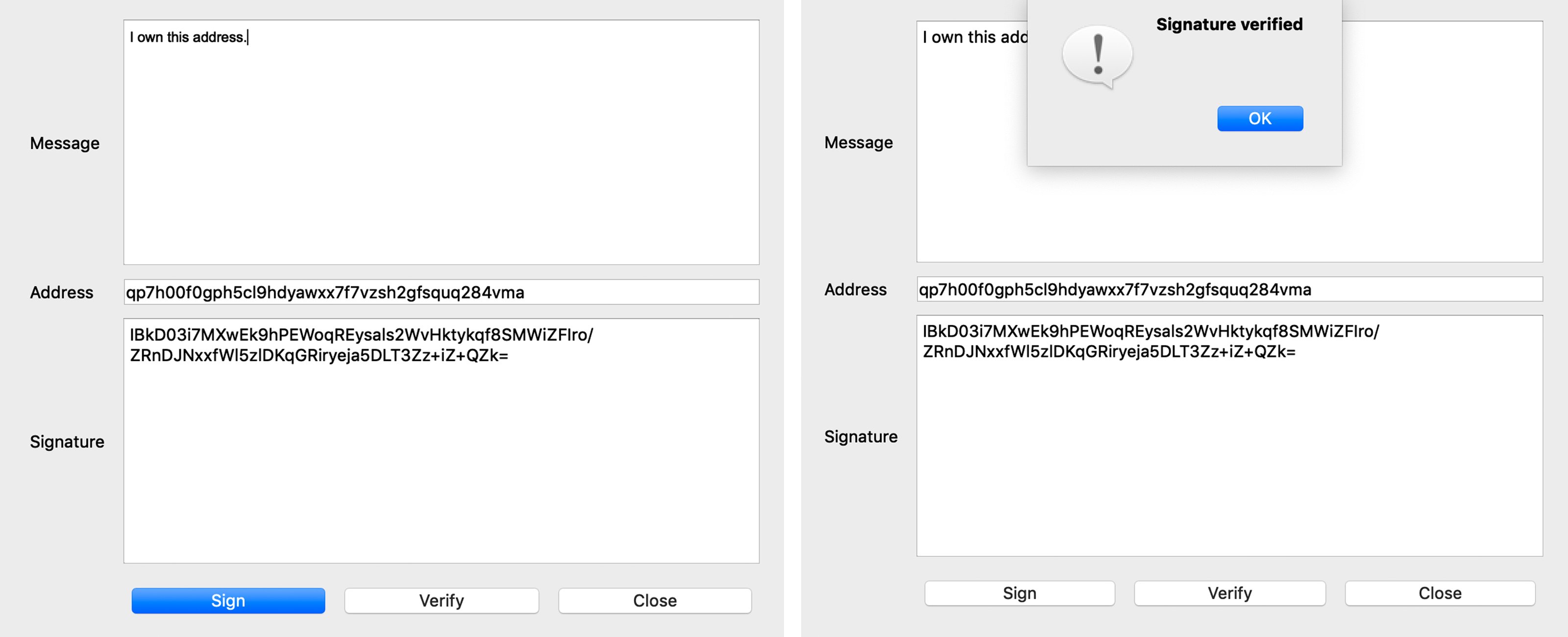 Bitcoin Address | Wallet Lookup - Blockonomics