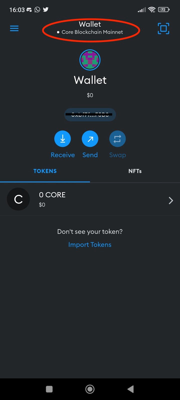 Top Core DAO (CORE) Wallets | CoinCarp