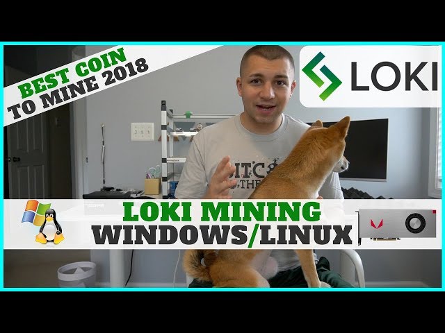 Loki Coin Review: What is LOKI? | Complete Beginners Guide