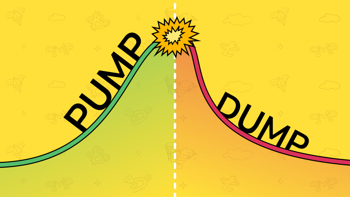 What Is a Pump and Dump? | Ledger