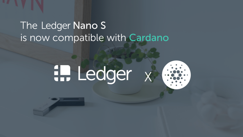 Yoroi with Ledger / Public keys - Community Technical Support - Cardano Forum