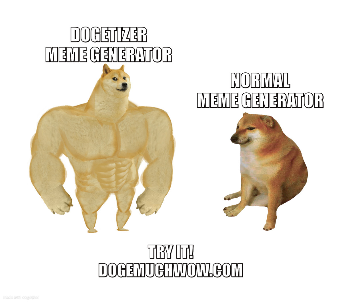 Doge Meme Template