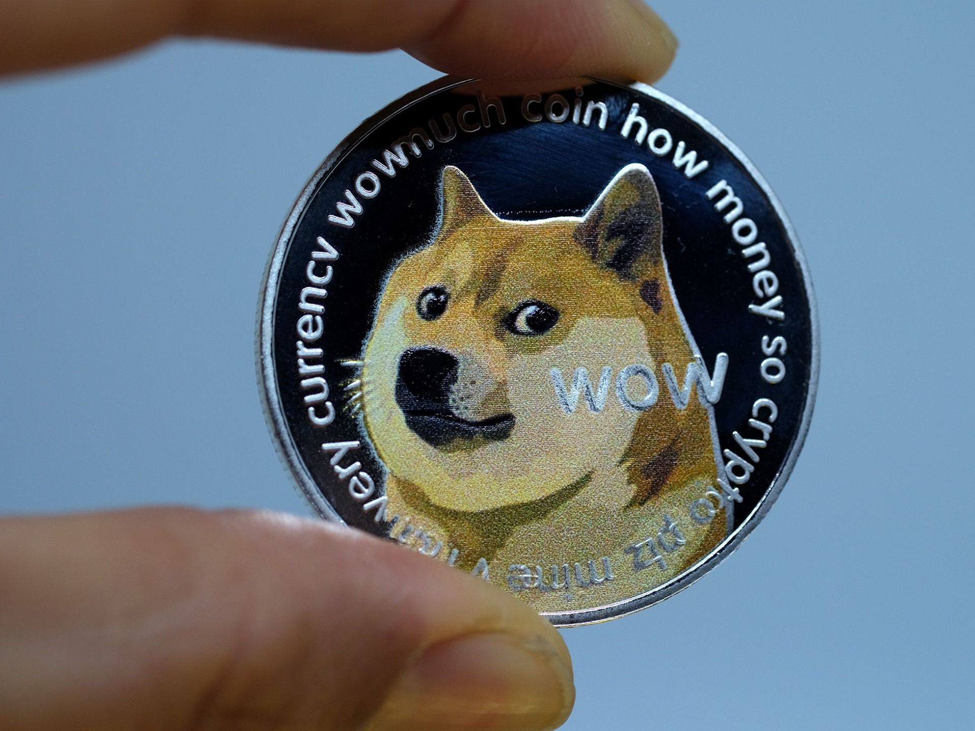 Is It Too Late to Buy Dogecoin Today & in ?