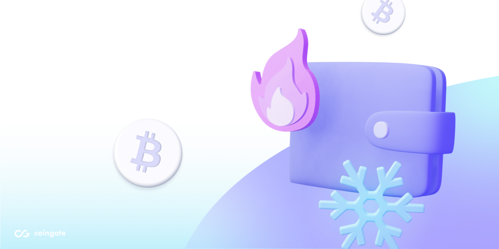 Hot Wallet vs Cold Wallet: What Is The Crypto Wallets Difference