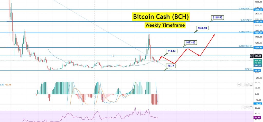 Upcoming Bitcoin Cash Halving Date - BCH Halving Countdown