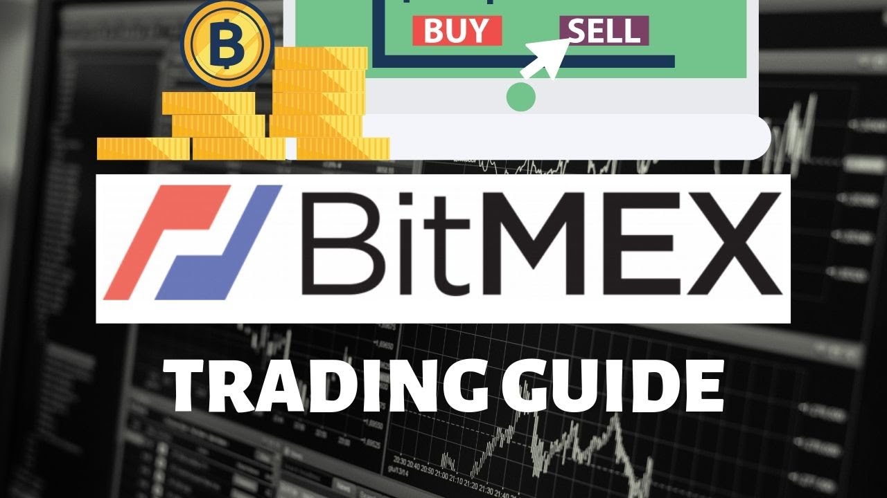 BitMEX Margin Trading | A Guide for Beginners - CoinCodeCap