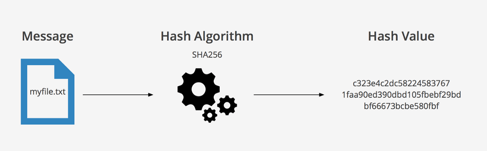 SHA Hashing Algorithm - List of coins based on Bitcoin's SHA algo