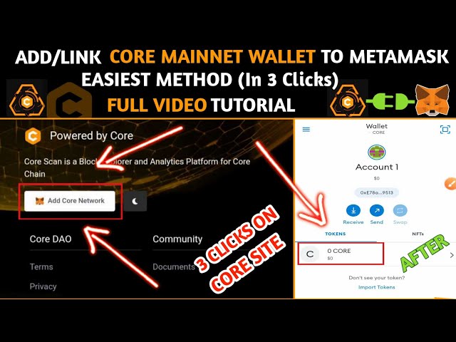 How to Add Core DAO Chain to Metamask Wallet? | CoinCarp