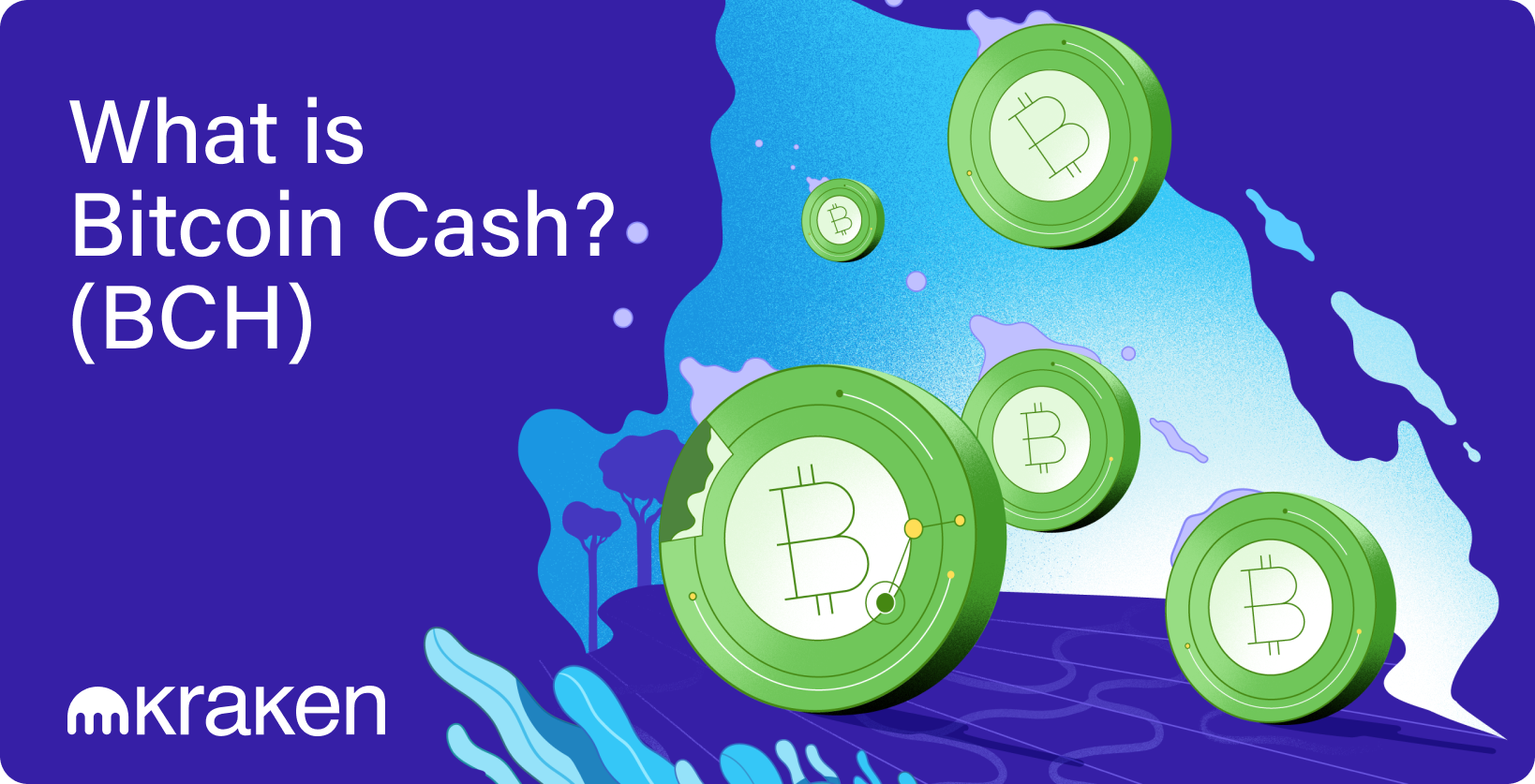 How to buy Bitcoin Cash (BCH) on Kraken? | CoinCodex