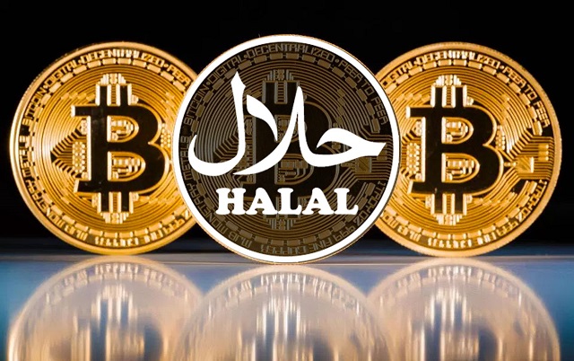 Halal Crypto Investment Opportunities - IFG