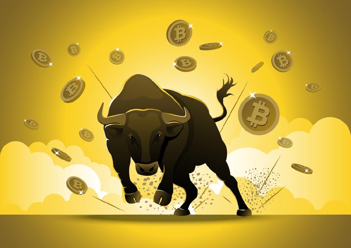 Bull Bitcoin | Canada's Bitcoin company