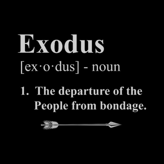 EXODUS Synonyms: 31 Similar and Opposite Words | Merriam-Webster Thesaurus