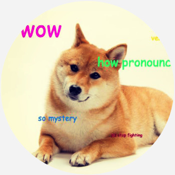 How do I pronounce Dogecoin? | The US Sun