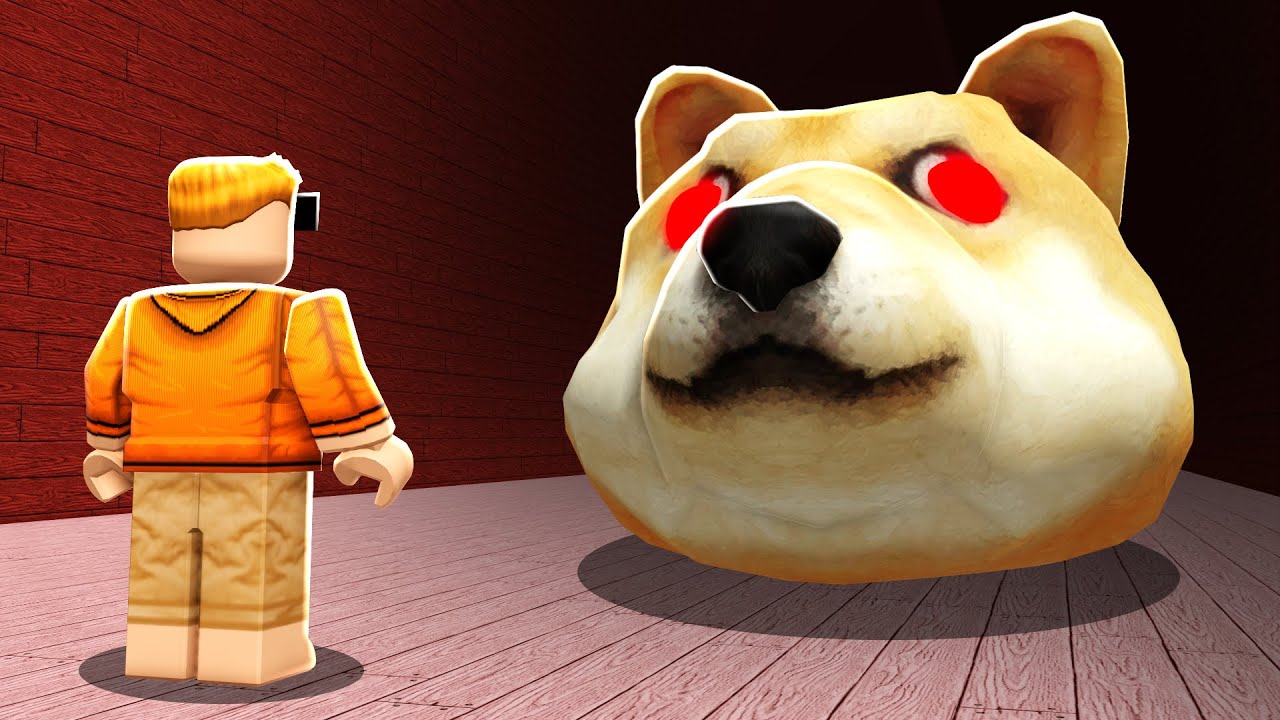 Roblox Doge Row Virtual Item Code: Mystery Box Toy Ghana | Ubuy