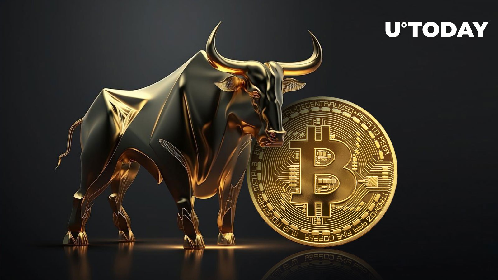 Why Bull Bitcoin is immune from FTX collapse and “crypto contagion”