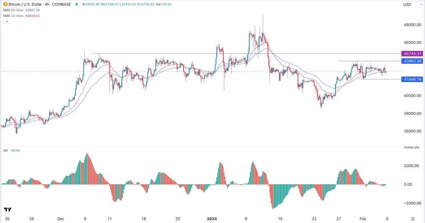 Bitcoin Is Skyrocketing. Now Traders Are Looking At These Altcoins