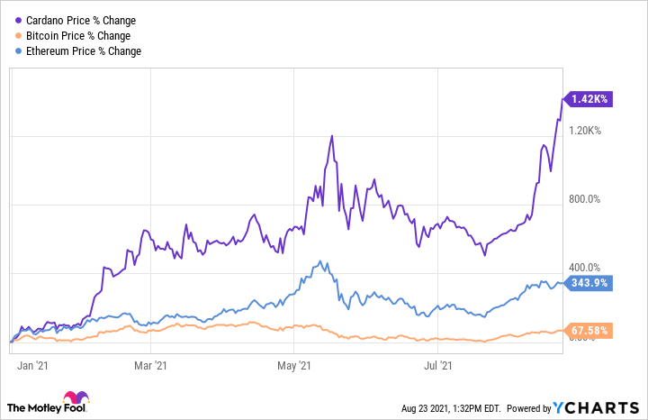 Why Cardano's Surge is the Talk of the Crypto World - Find Out Now!