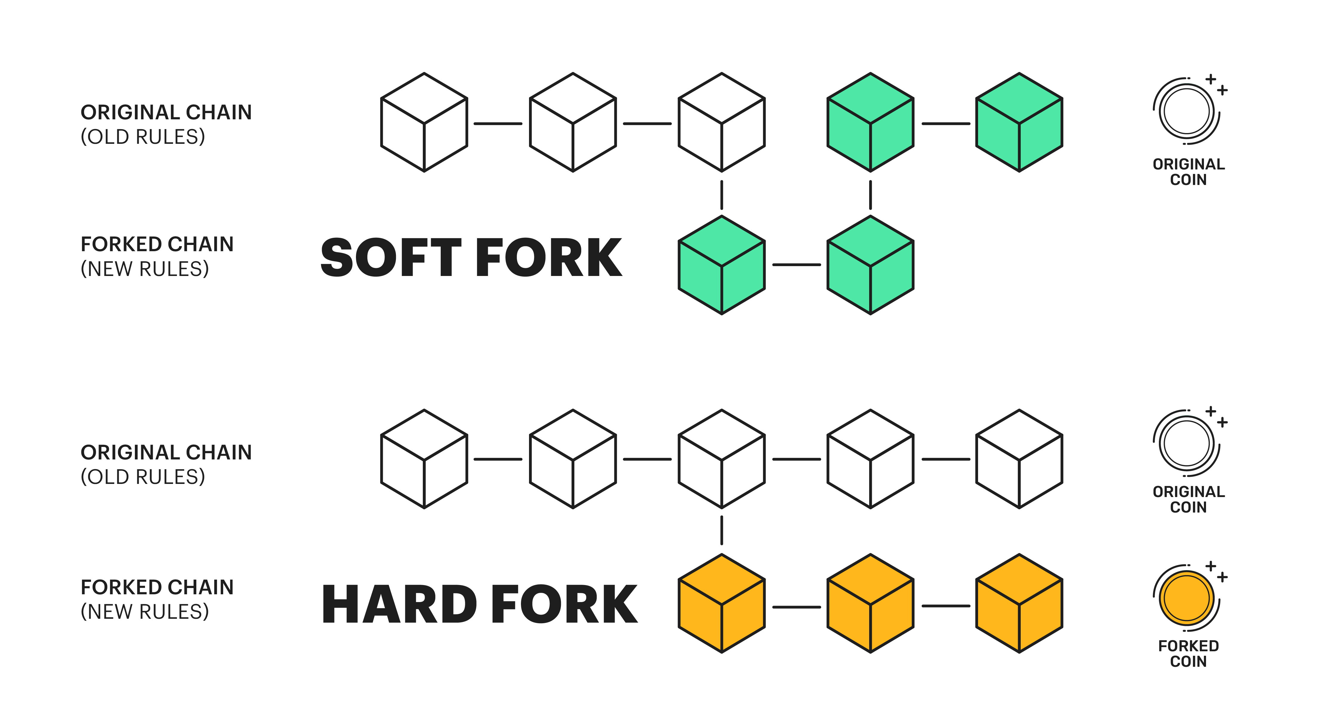 Hard Fork Meaning | Ledger