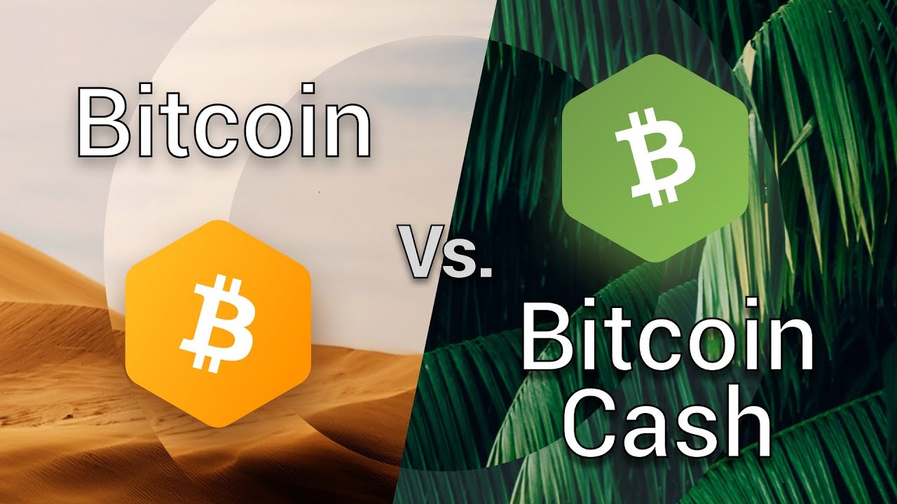 BTC vs BCH - 7 Differences Between Bitcoin and Bitcoin Cash - GeeksforGeeks