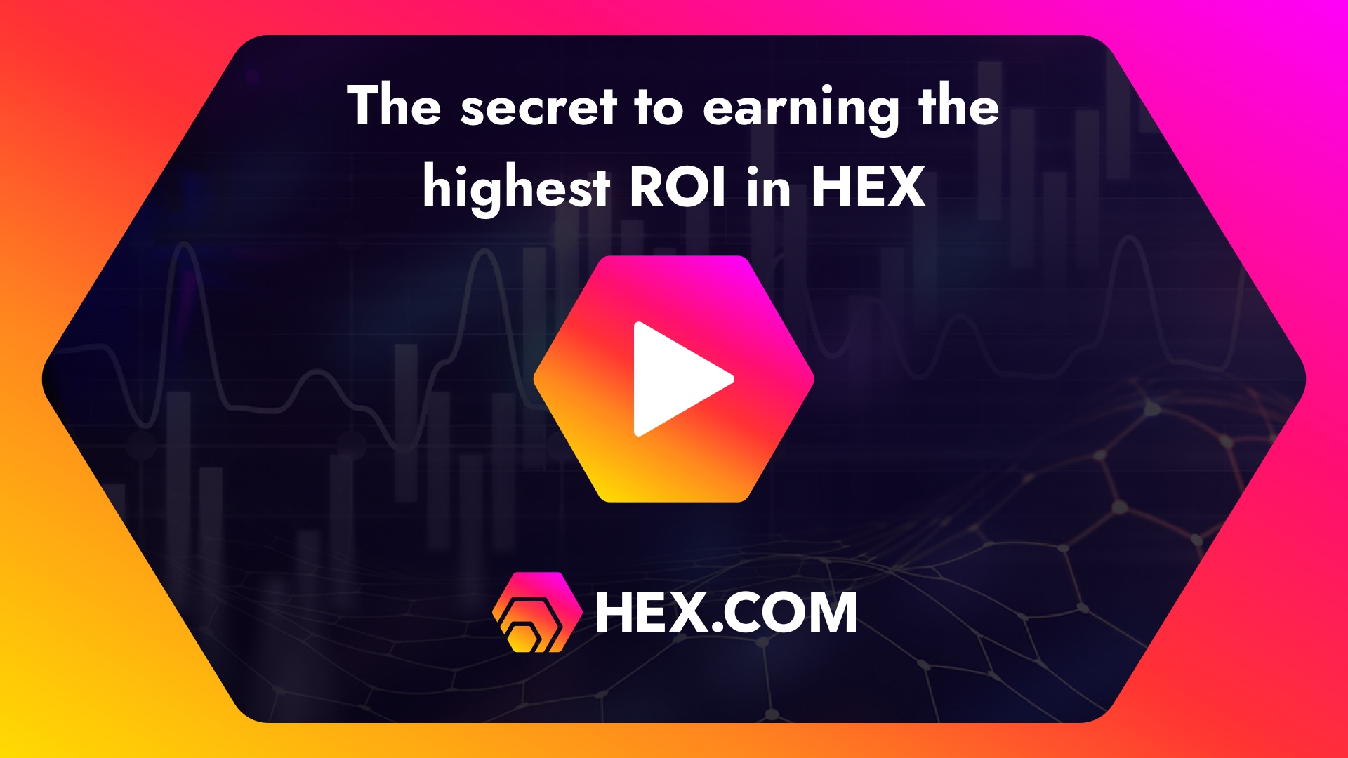 HEX Crypto Explained: Scam or a Solid Investment? - Finance Reference