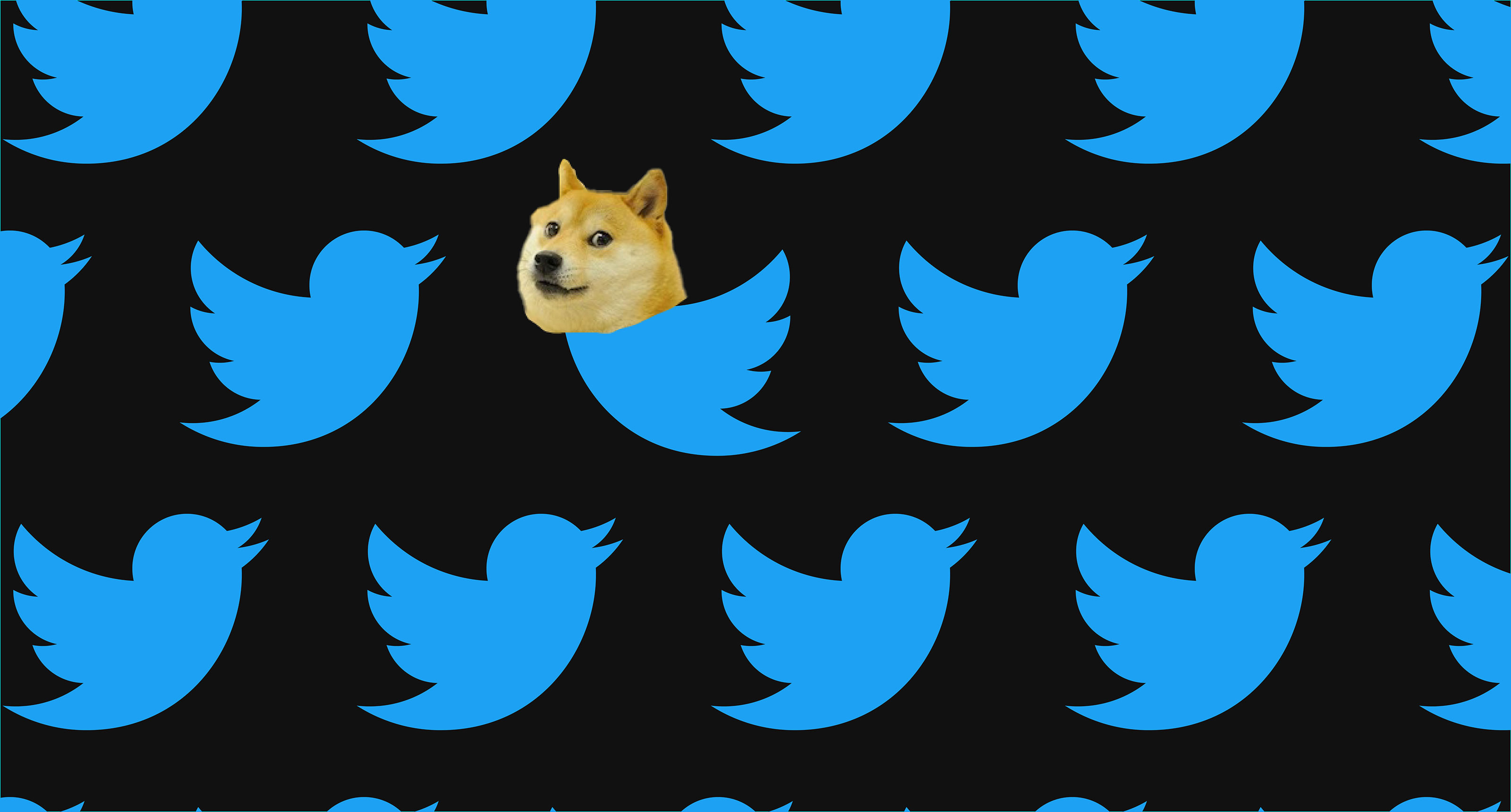 DOGE Prices Rose on Twitter's Rebrand to X, Bitcoin Slides to $29K