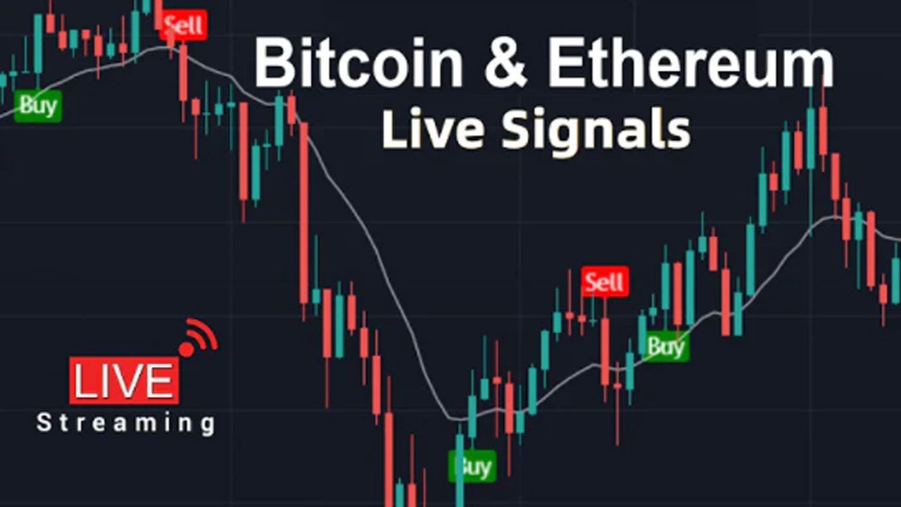 The Best Crypto Trading Signal Providers in | EWF