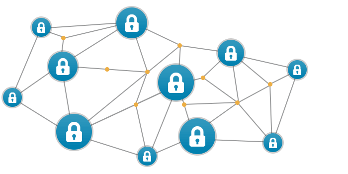 What is a Blockchain node, and what is it for? - Scaling Parrots