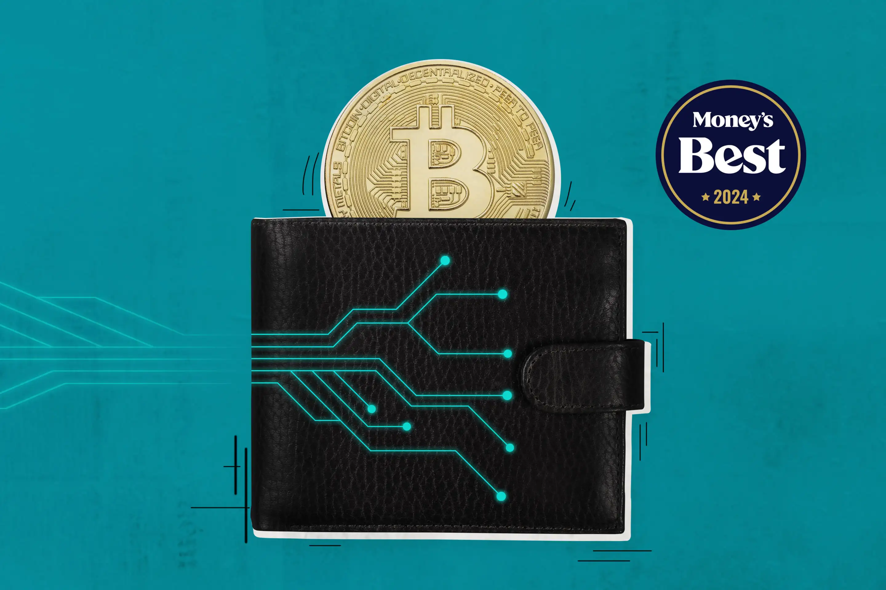 6 Best Crypto Wallets For Beginners in | CoinCodex