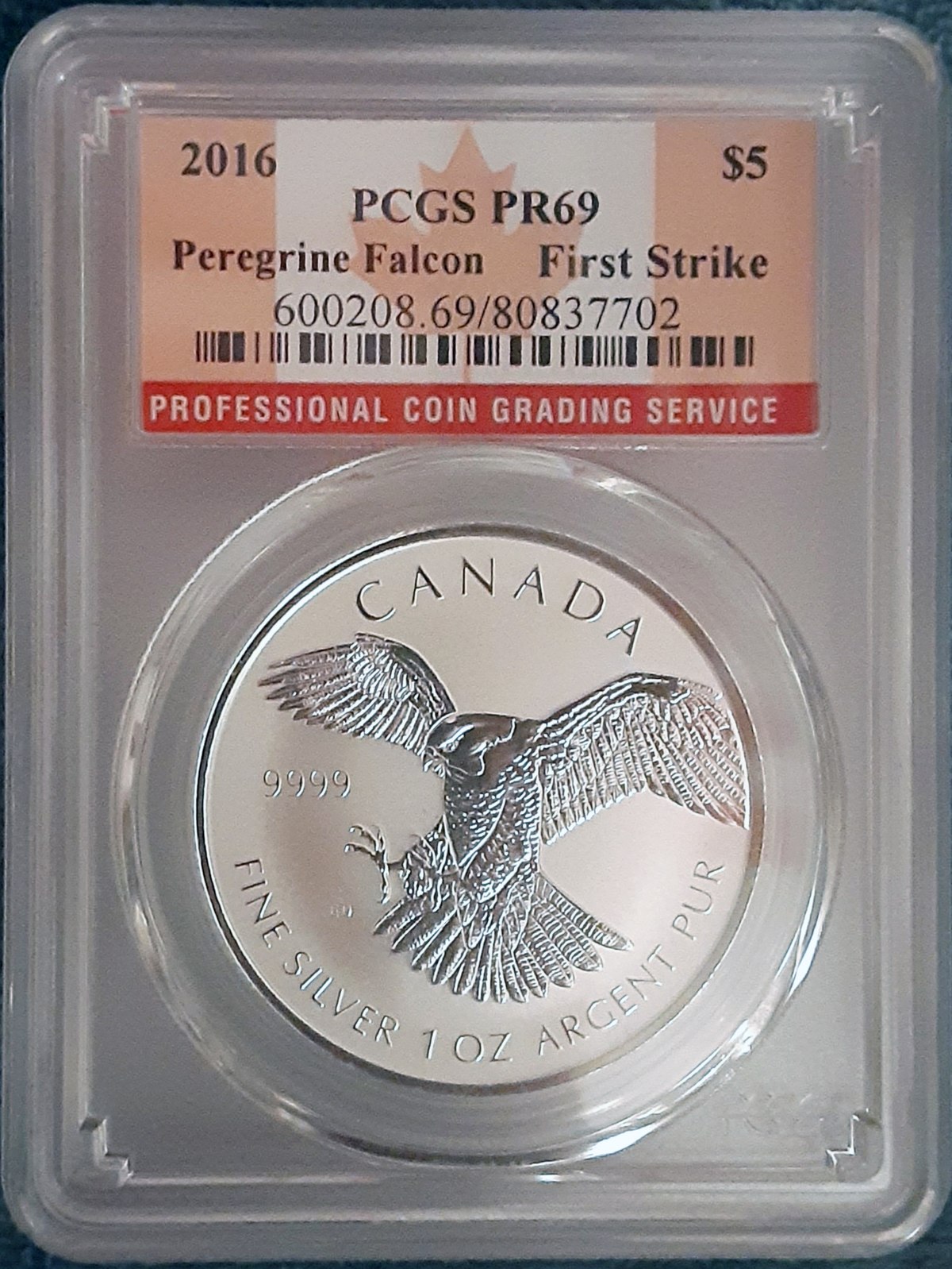 PCGS or NGC: Which Company is Better For Grading Coins? – American Coin Stash