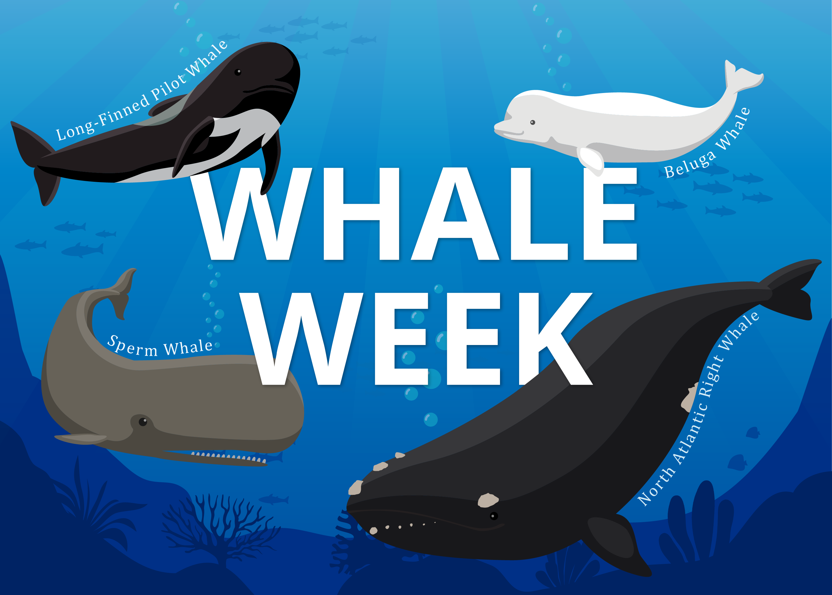 A Bitcoin Whale Makes Big Move; eToro Partners With Twitter to Offer Direct Crypto Trading