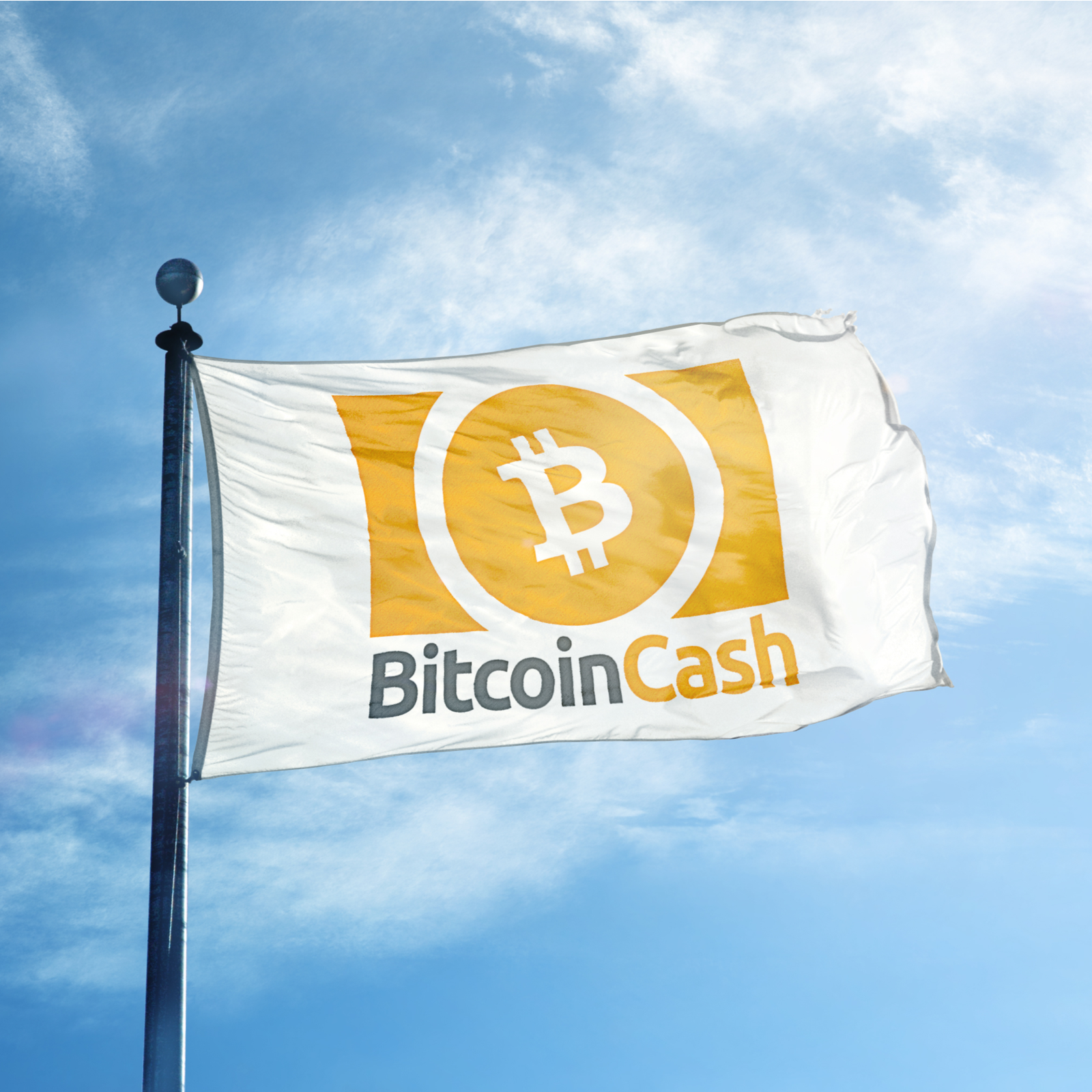 How Does Bitcoin Cash Work? BCH and Electronic Cash | Gemini