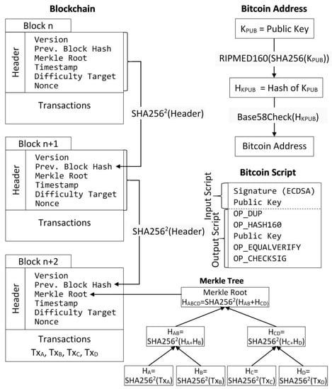 Bitcoin API and Its Usage