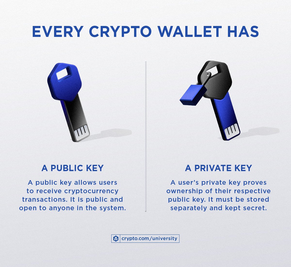 Crypto Wallet vs Exchange: 5 Key Differences You Need to Know