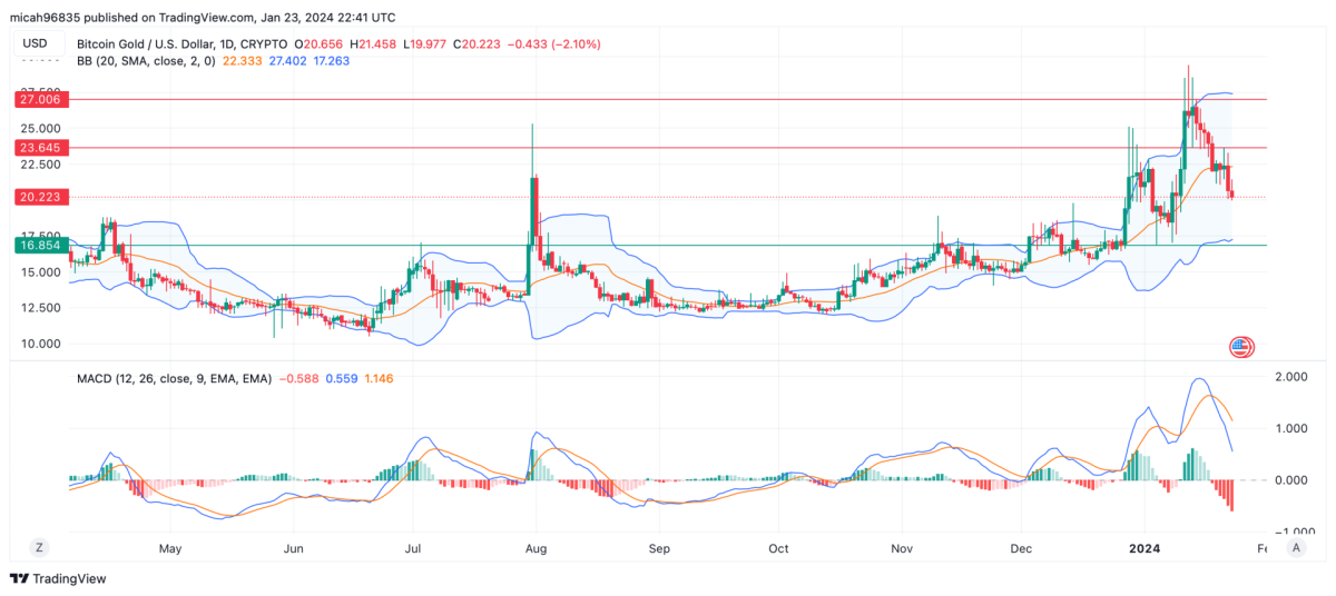 Bitcoin Gold Price Prediction: Does BTG Have a Future?