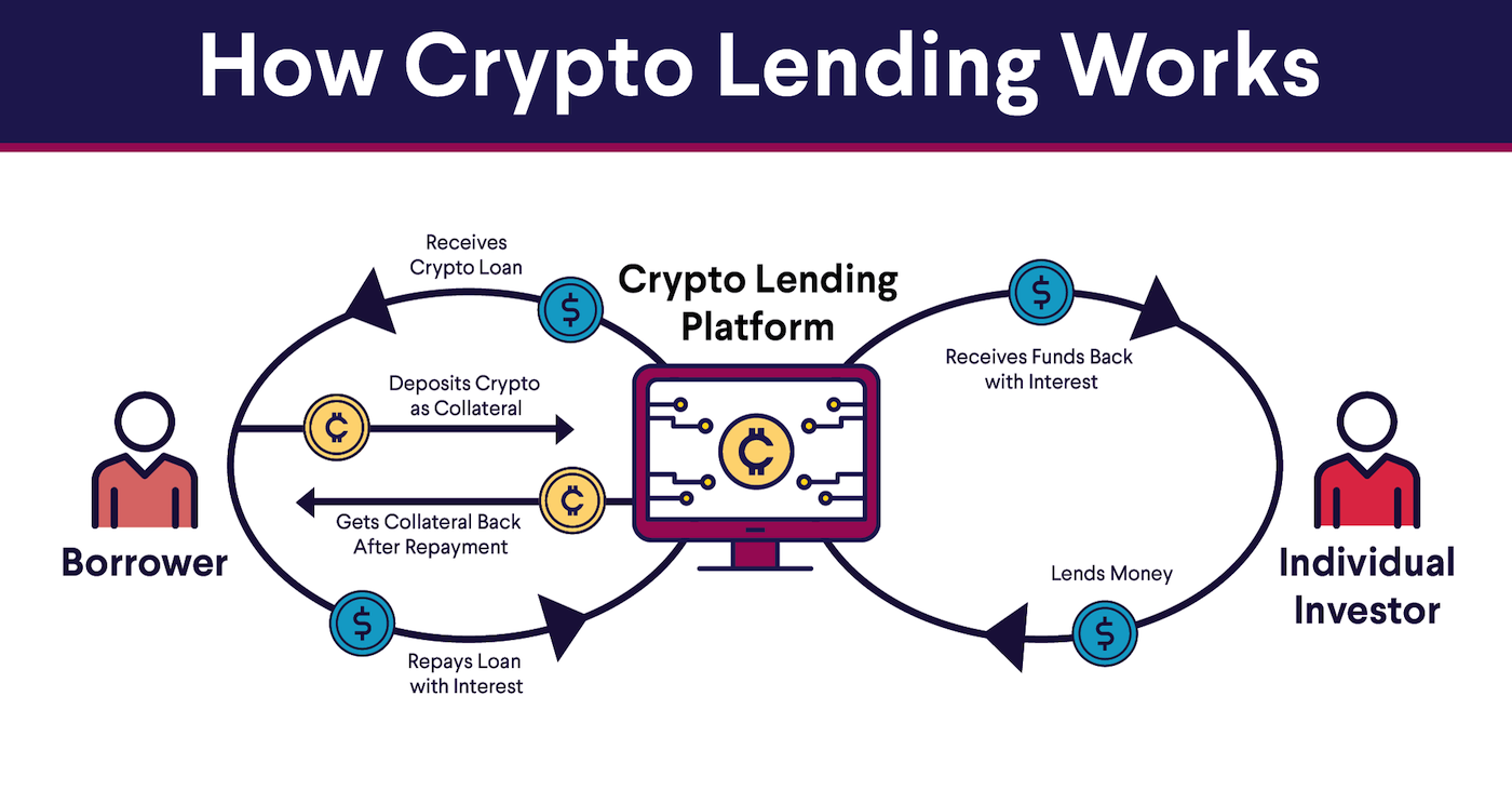 The Wise Investor's Guide to Bitcoin Lending and Borrowing