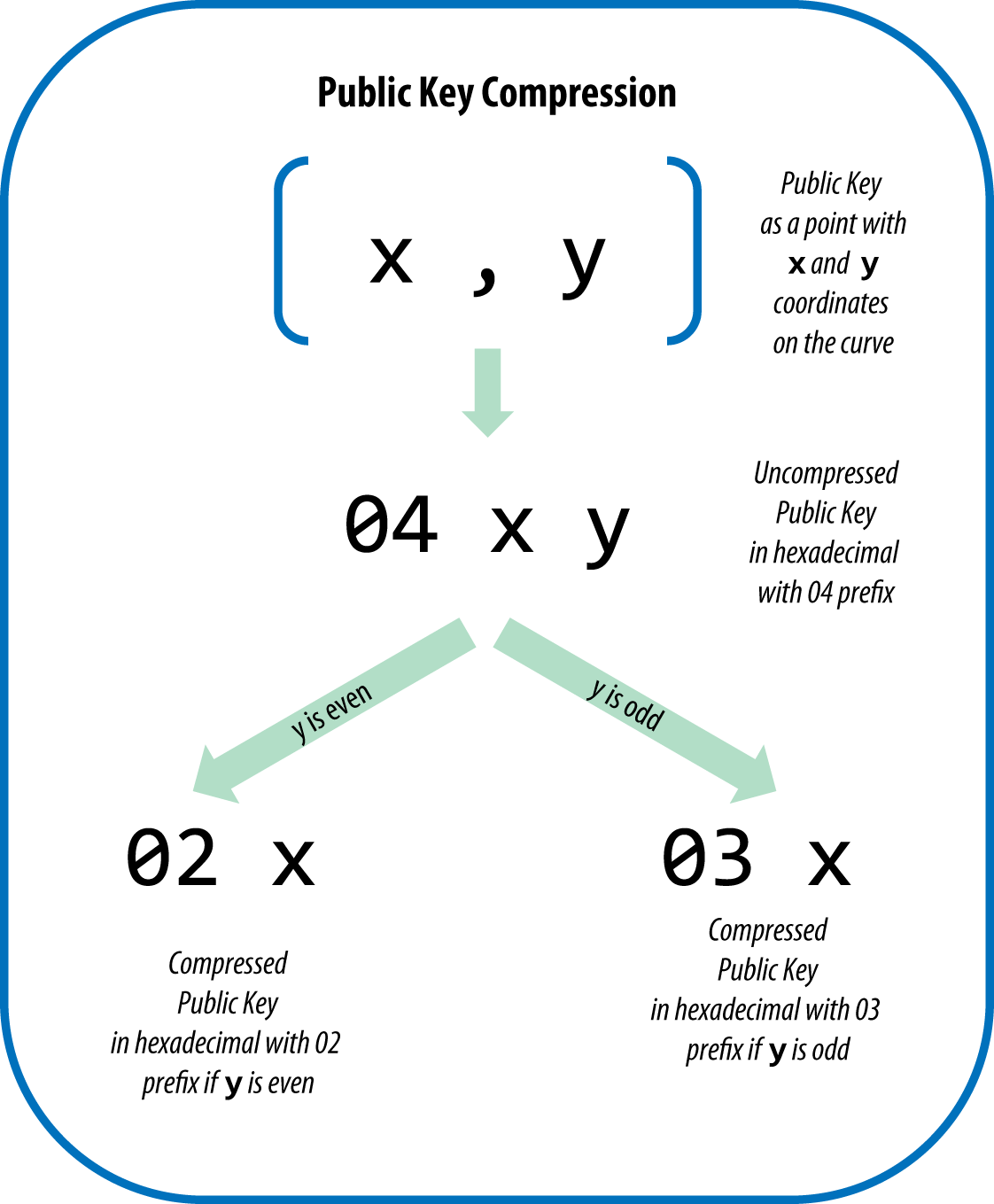 Elliptic Curve in Bitcoin - Estudio Bitcoin