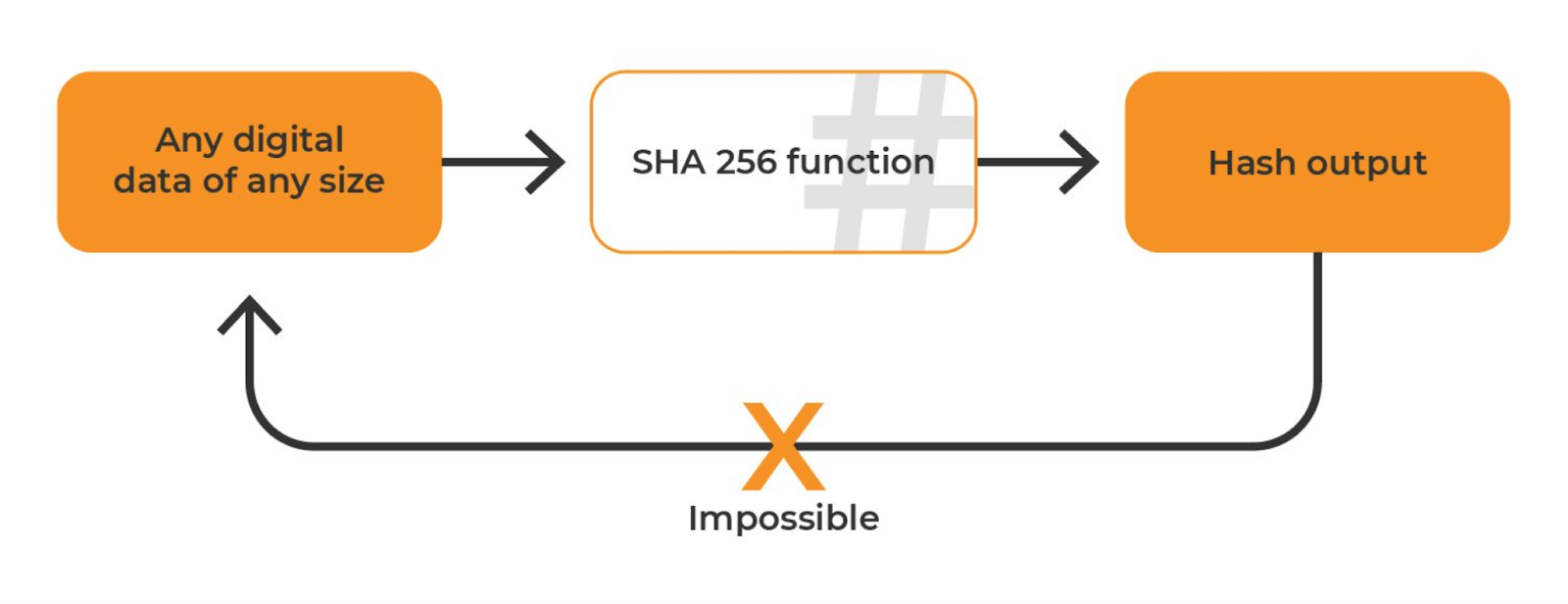 The NSA and Bitcoin: Origins of the SHA Hashing Algorithm