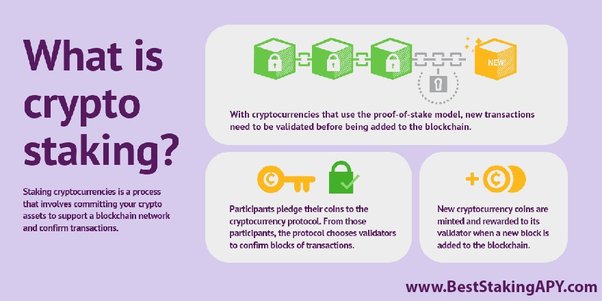 Crypto Staking Guide: Types of Staking Explained - Figment