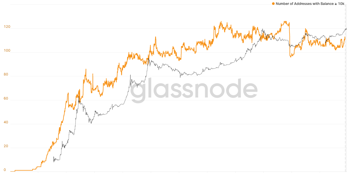 Bitcoin USD (BTC-USD) Price, Value, News & History - Yahoo Finance