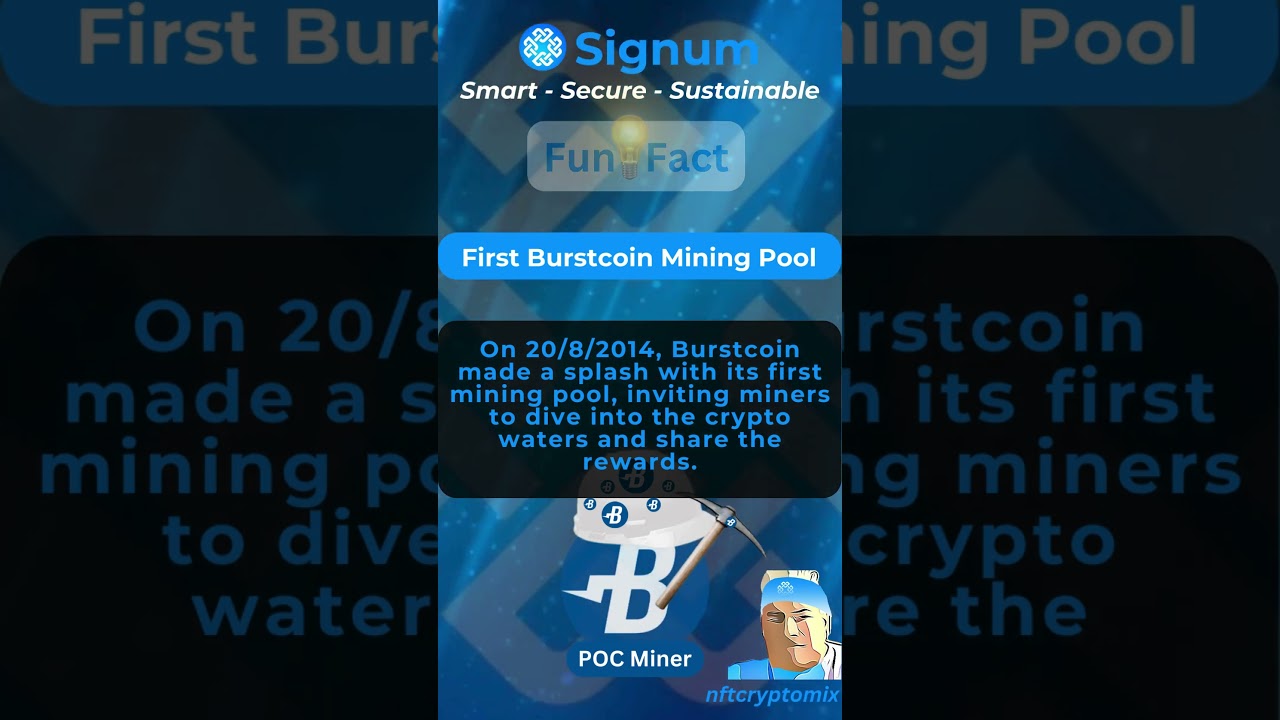 Twelve elements of the Burst Mining Pool interface explained | Igor Kromin