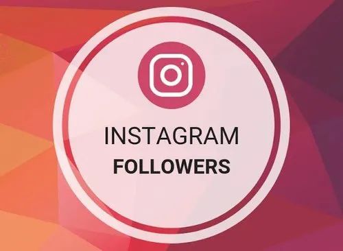 Buy Instagram Followers, Likes, Views on Cheapest rate in India | Social Daddy