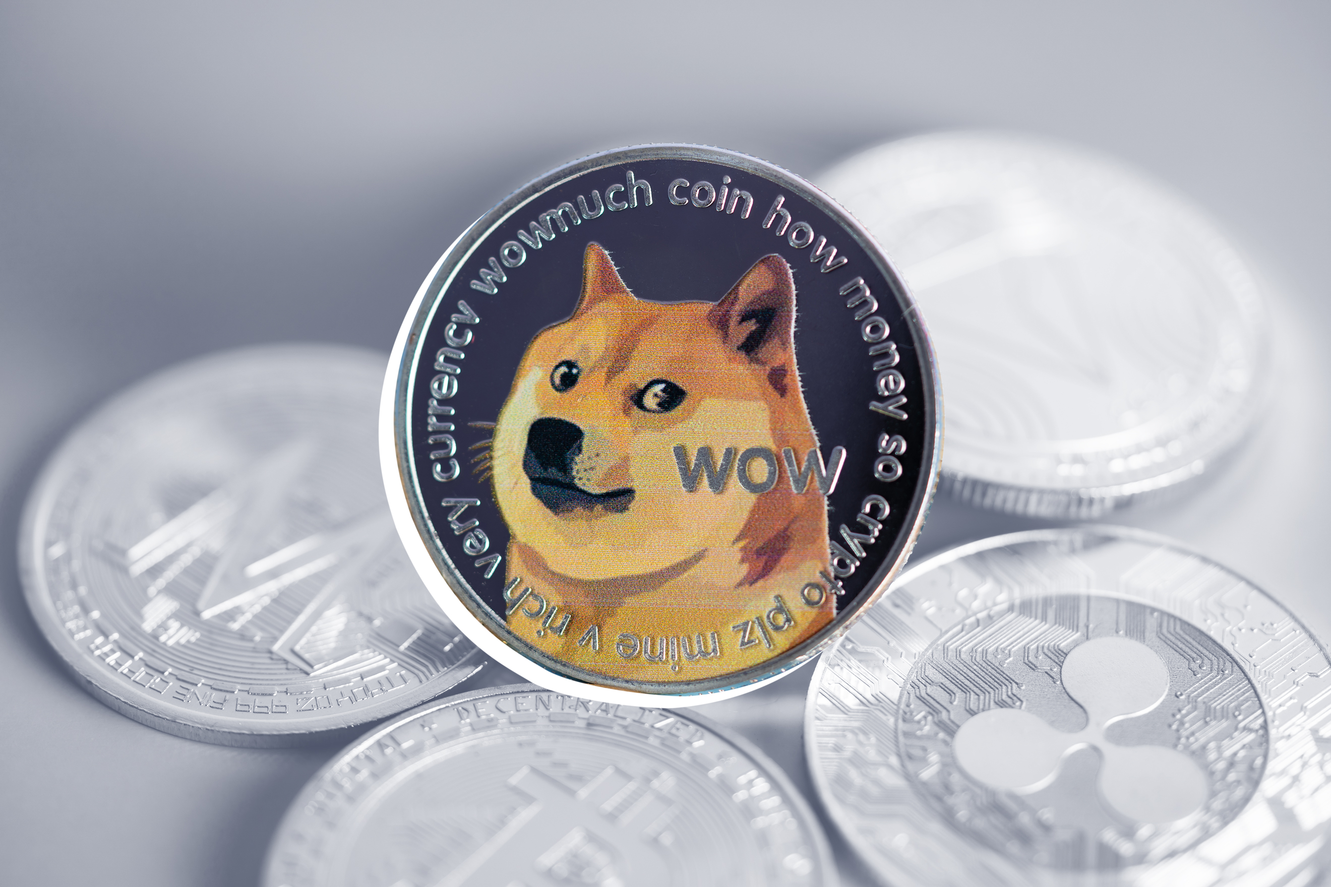 Investing In Dogecoin (DOGE) – Everything You Need to Know - coinmag.fun