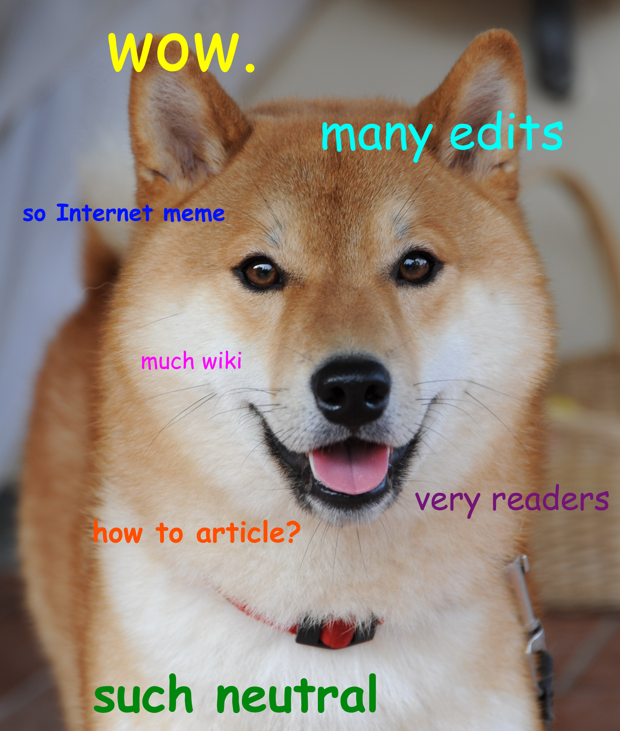 Guest Post by BTC Peers: The Curious Case of the Doge Meme and Dogecoin | CoinMarketCap