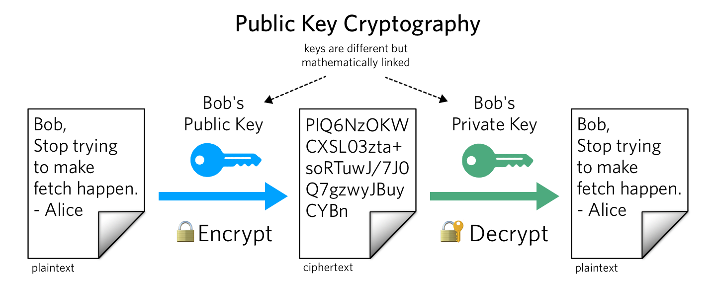 cryptographic key - Glossary | CSRC